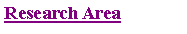 �������: Research Area 
